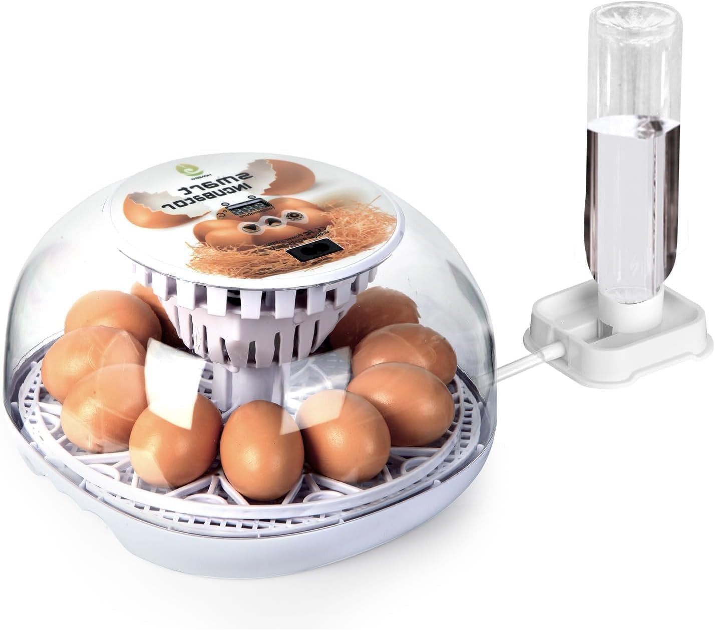 Series I - 12 Egg Incubator for Beginners, Auto Egg Turn, Steady Self-Regulating