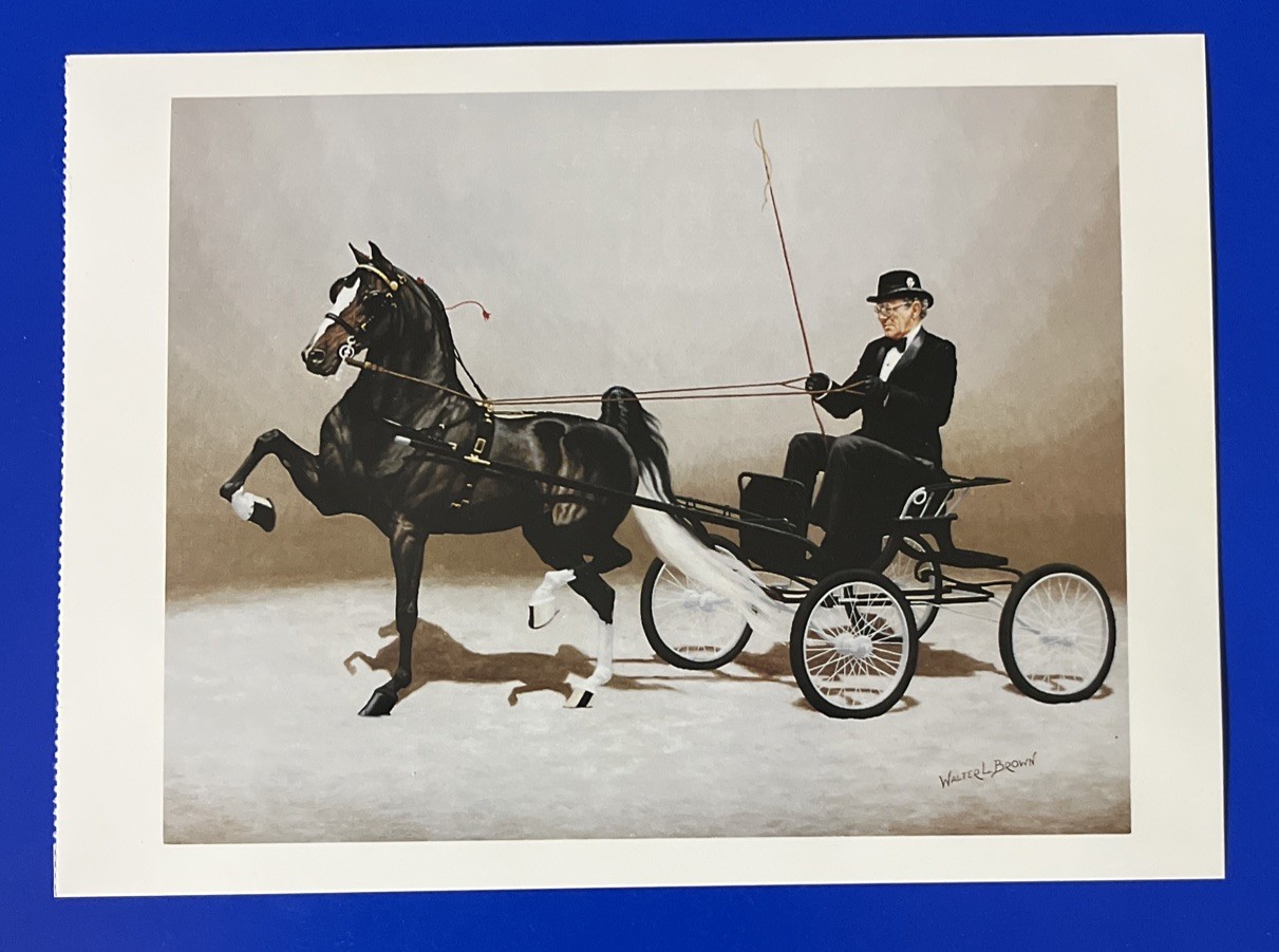 POSTCARD WORLD CHAMPION HACKNEY PONY LIGHTWEIGHT WALTER BROWN HORSE 6.5”x4.75”