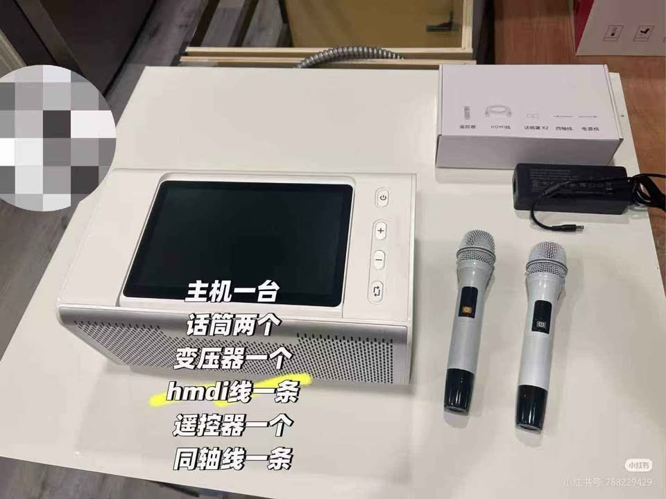 6 in 1 Karaoke Professional Karaoke System