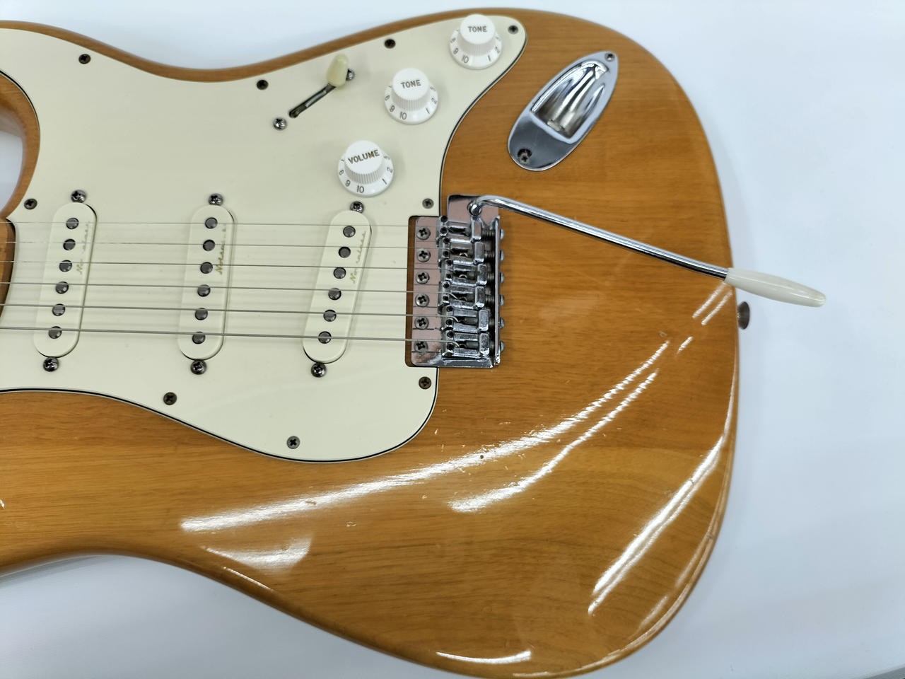 FERNANDES / FST(no250331)
