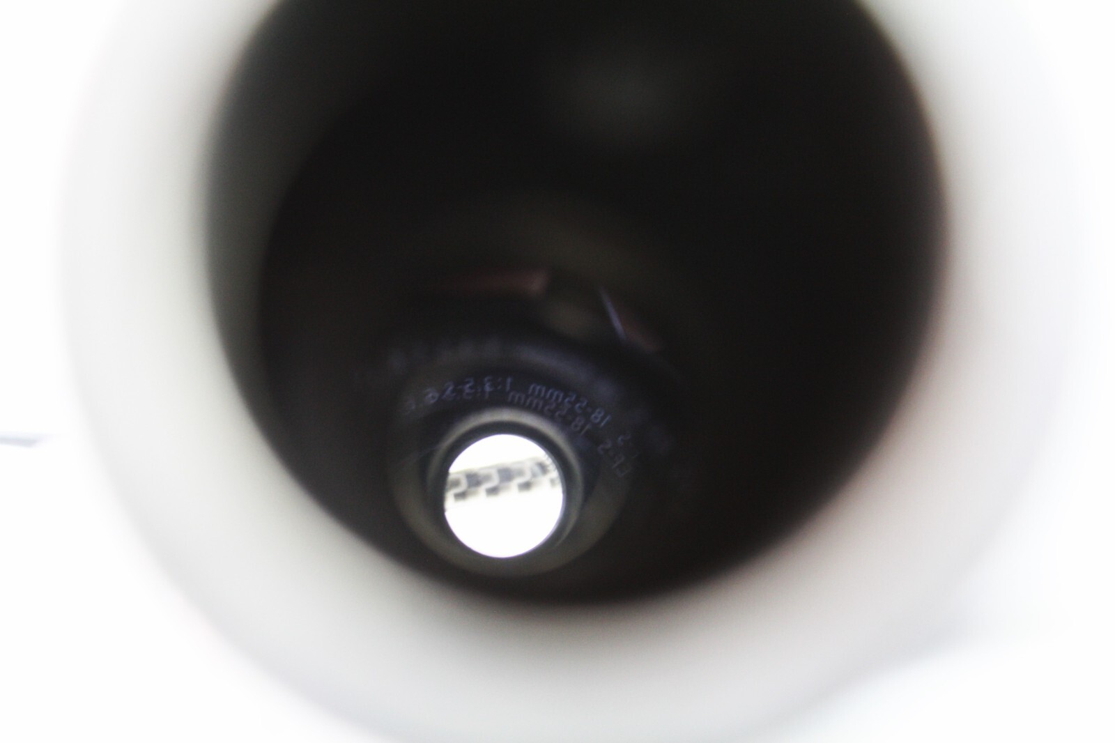 Nikon Stereo Microscope Head