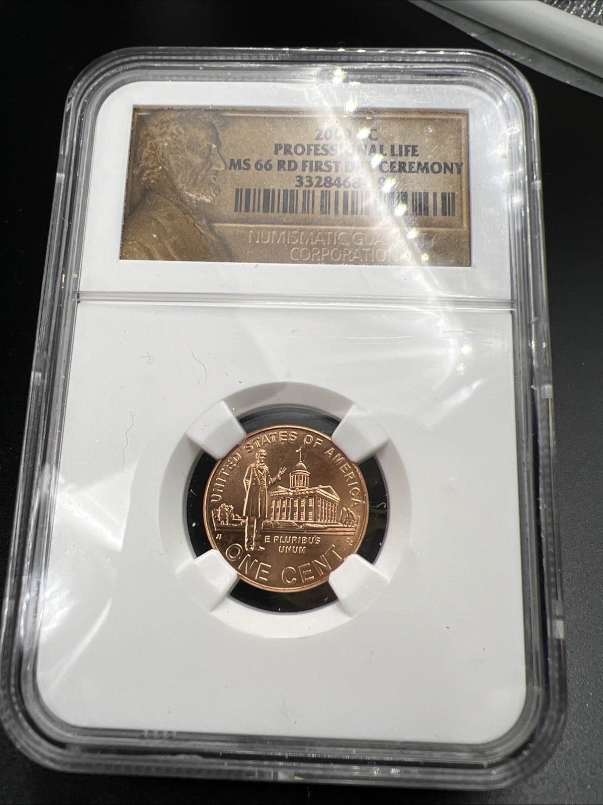 2009 P 1c Lincoln Professional Life Commemorative Cent Coin MS66 NGC #196