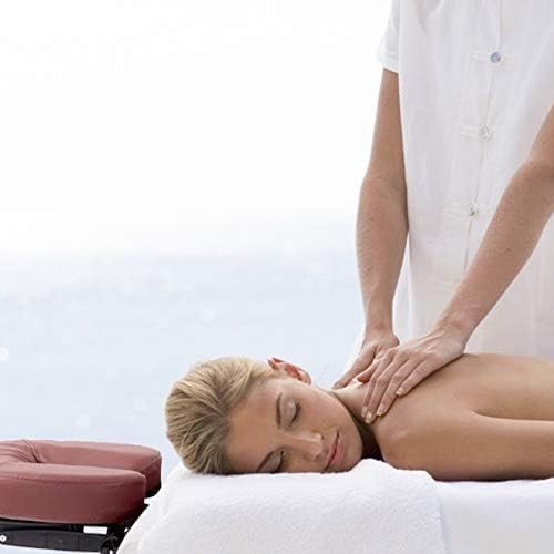 24" Portable Massage Table Folding Spa Bed Height Adjustable with Bag
