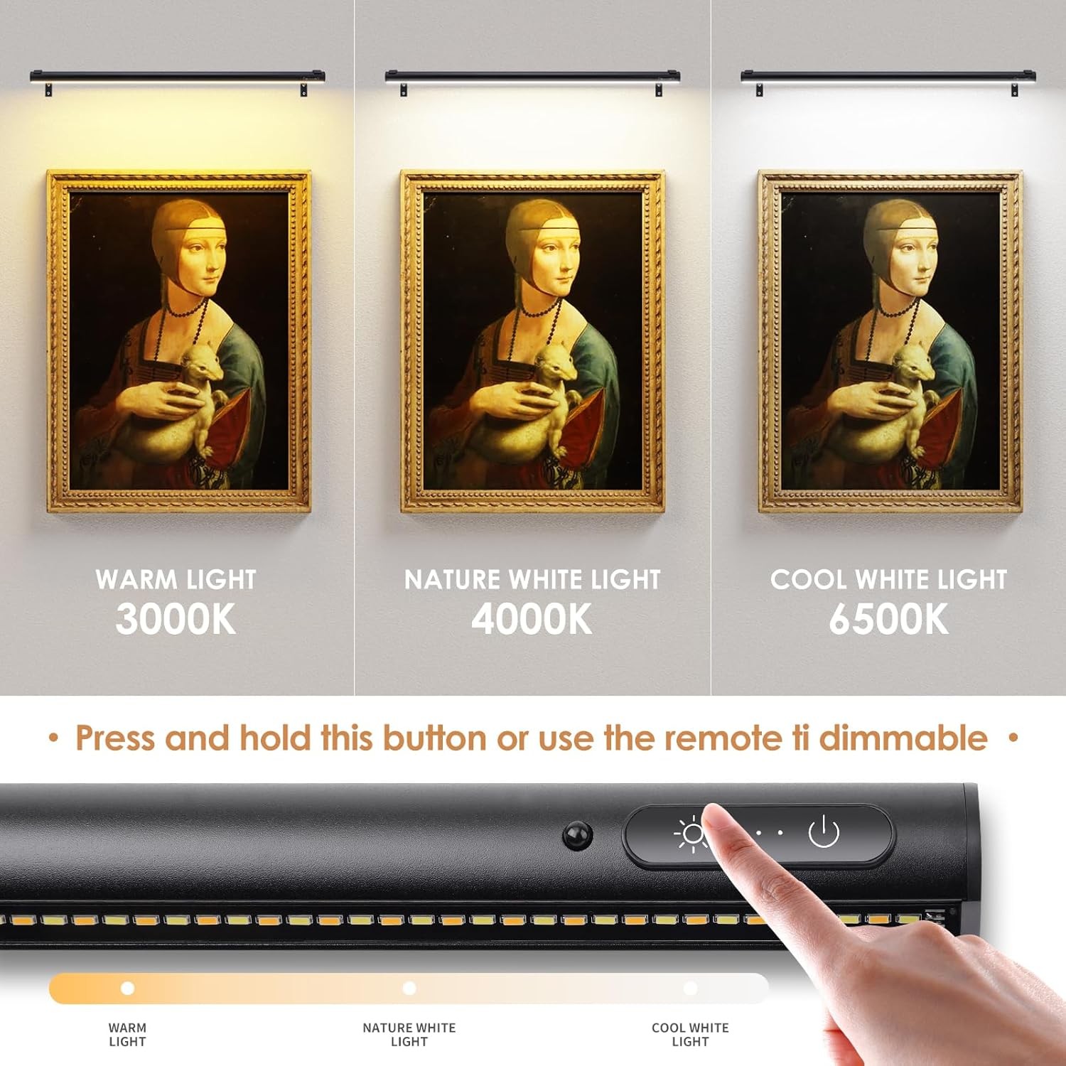 Battery-powered wireless artwork spotlight, rechargeable/mains-powered (black)