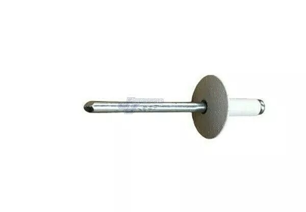 Large Head White Rivets Pop Rivet 100 ct. 3/16" Racing Fastener UMP IMCA