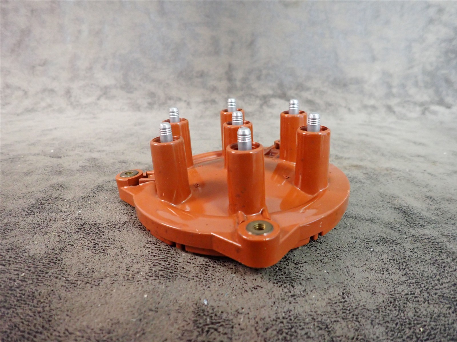 NEW WVE 5D1215 Distributor Cap (G219)