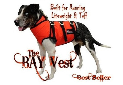 BAY VEST made with KEVLAR for hog dogs ORANGE Medium size STRONG Good Fit