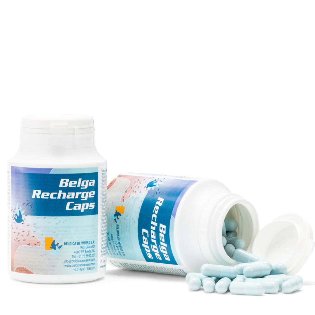 Belgica De Weerd Belga Recharge Caps 100 Tablets
