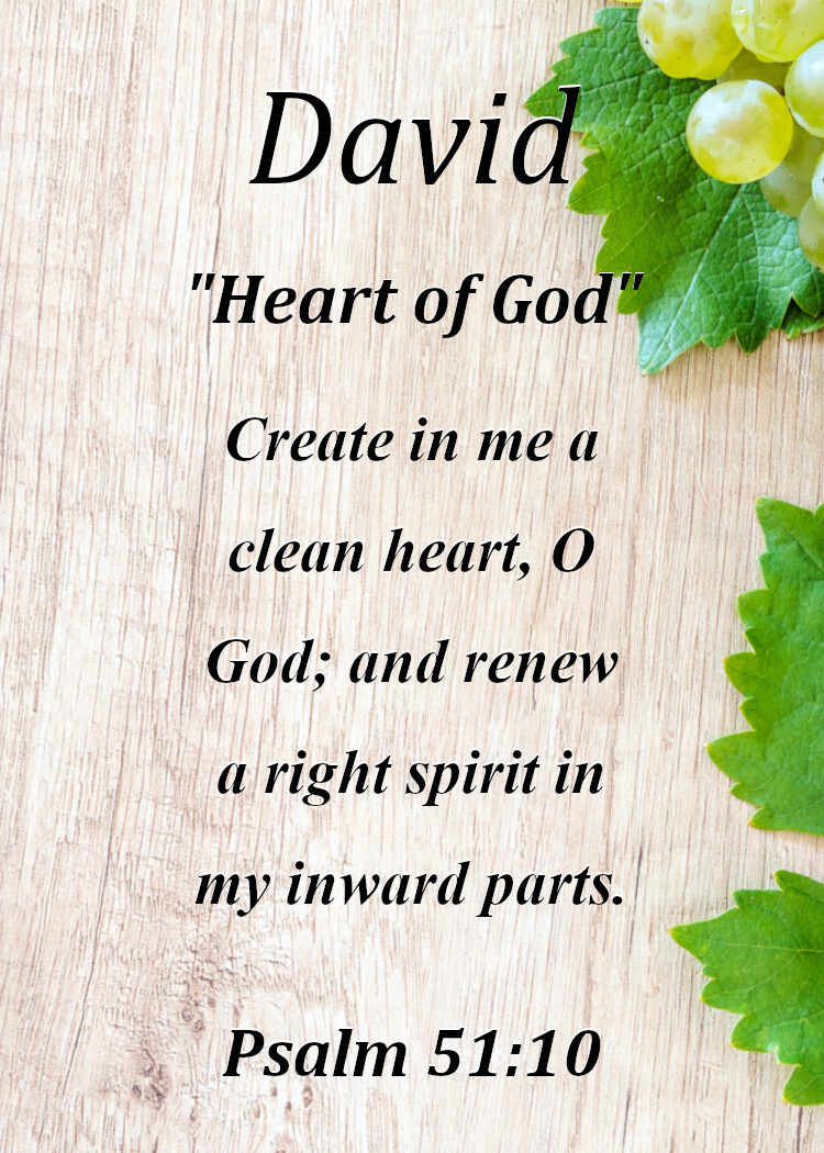 David  "Heart of God" Keepsake Name Meaning Card with Bible Verse