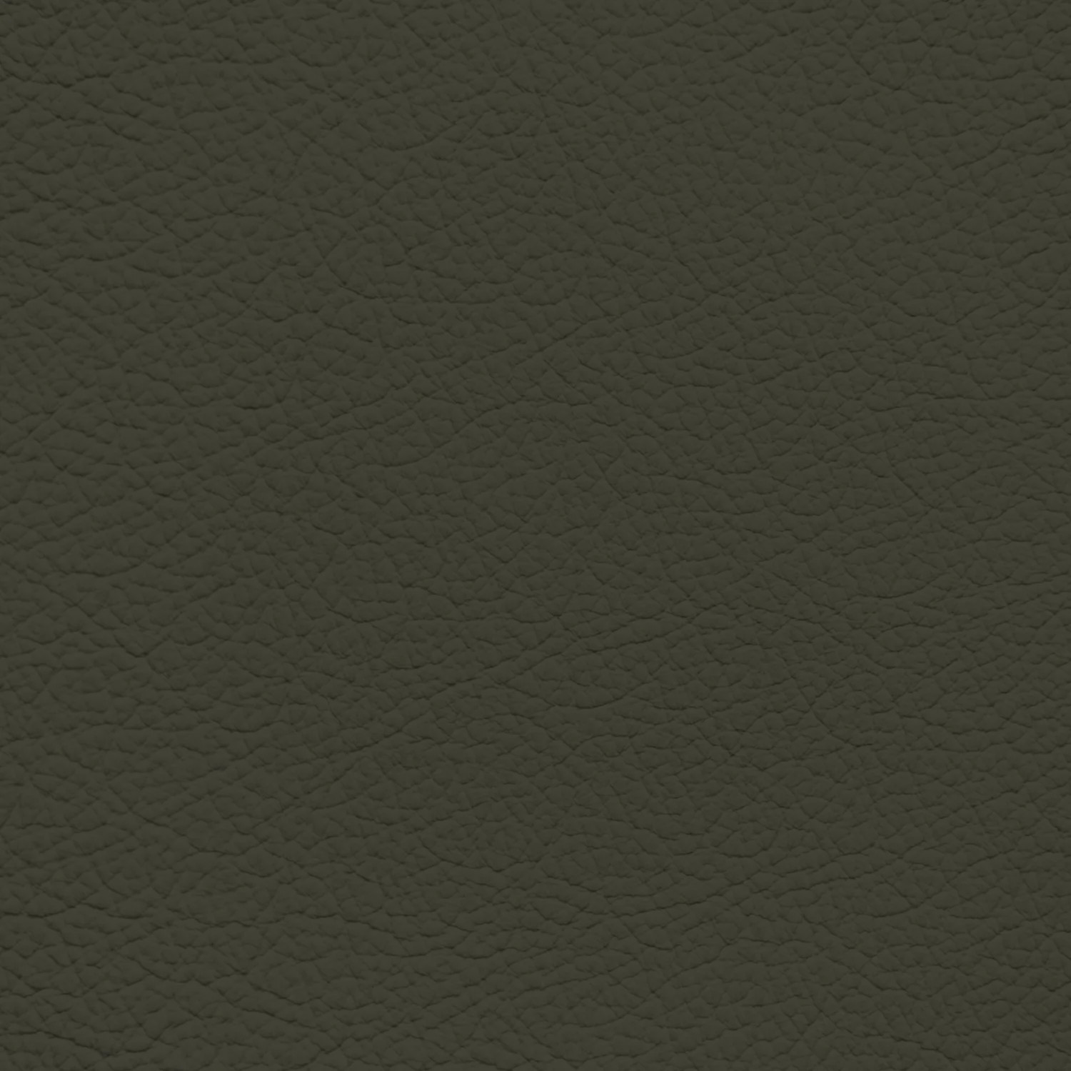 GM Medium Moss Leather Dye