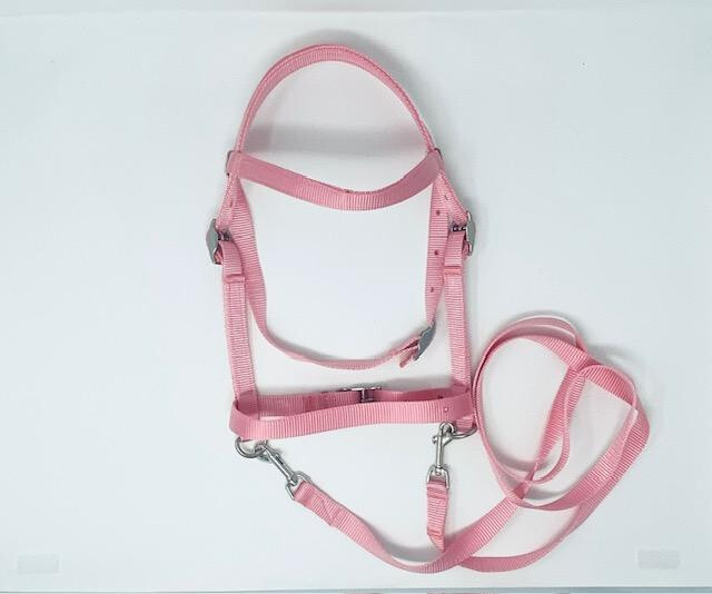 MINIATURE HORSE / SM PONY BITLESS BRIDLE - PINK