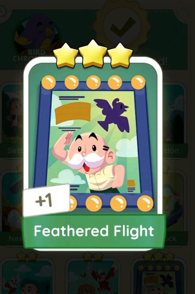 Feathered Flight