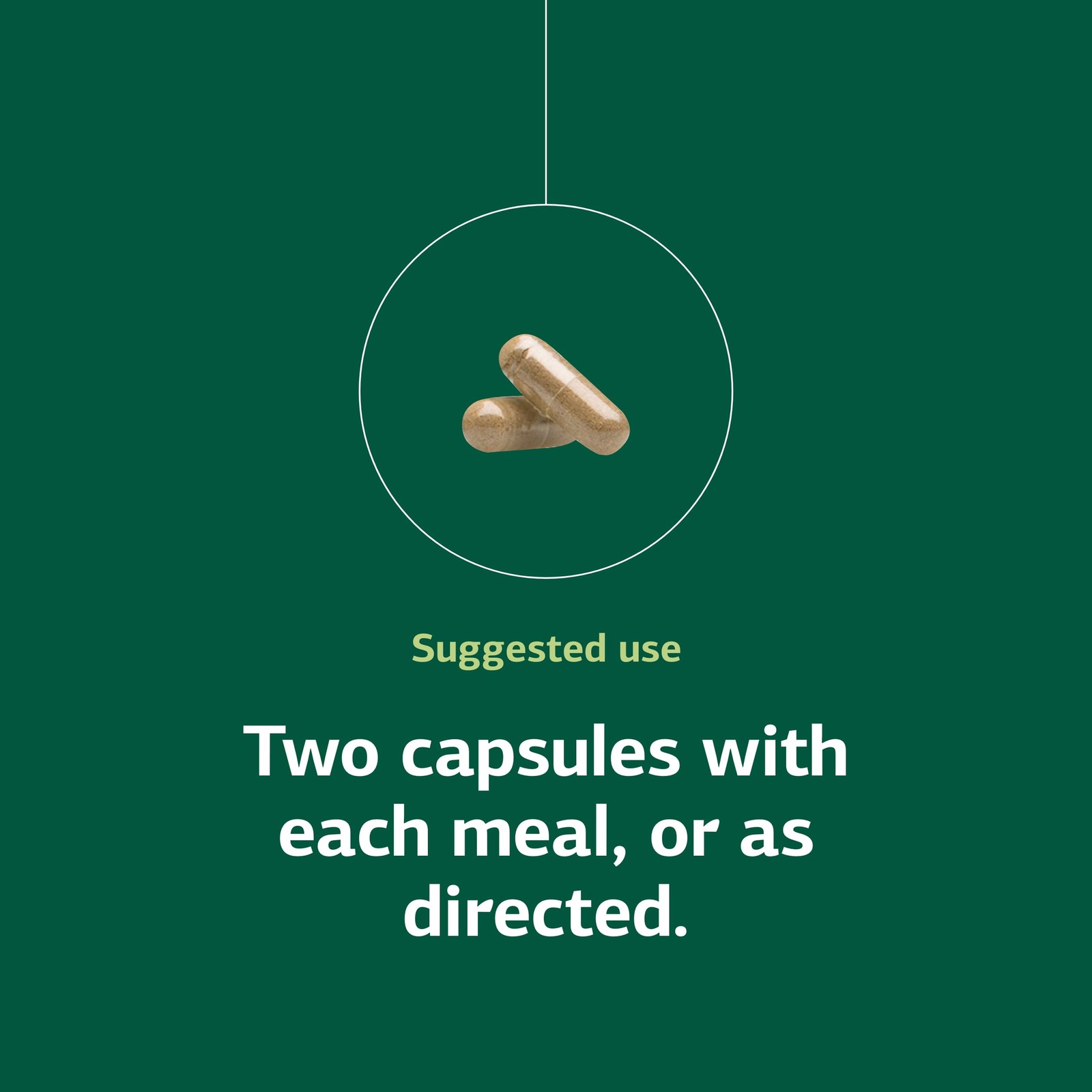 Standard Process Zymex Capsules - Digestive Health & Intestinal Support