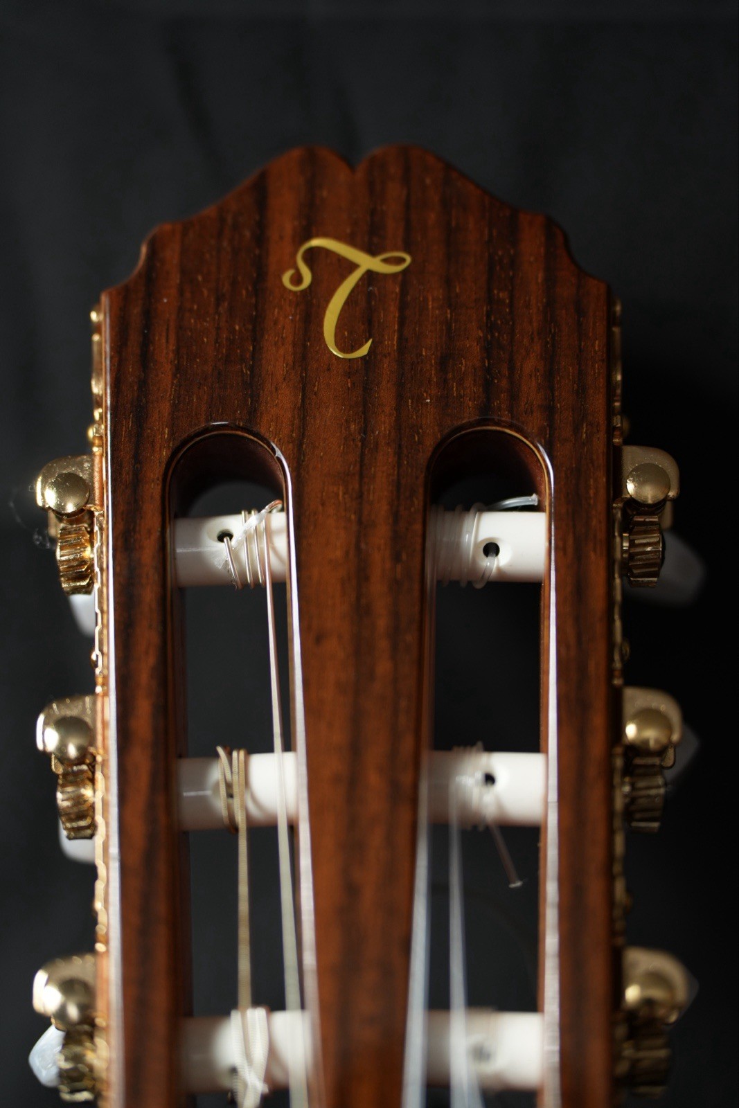 Takamine Classical Nylon String Guitar Model TC132SC