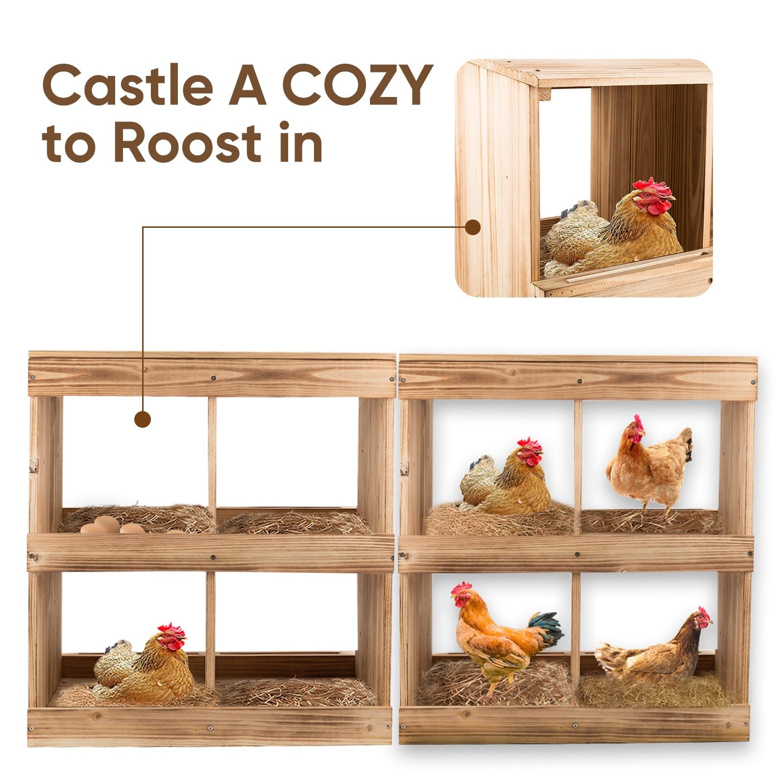 Zeenart Nesting Boxes For - Nesting For Poultry Heavy Duty 4