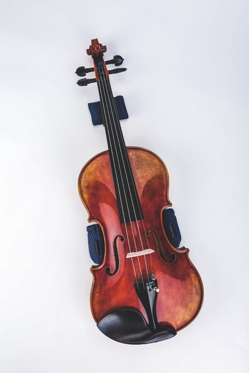 Pedi Magic Dehumidifier For Music Instruments