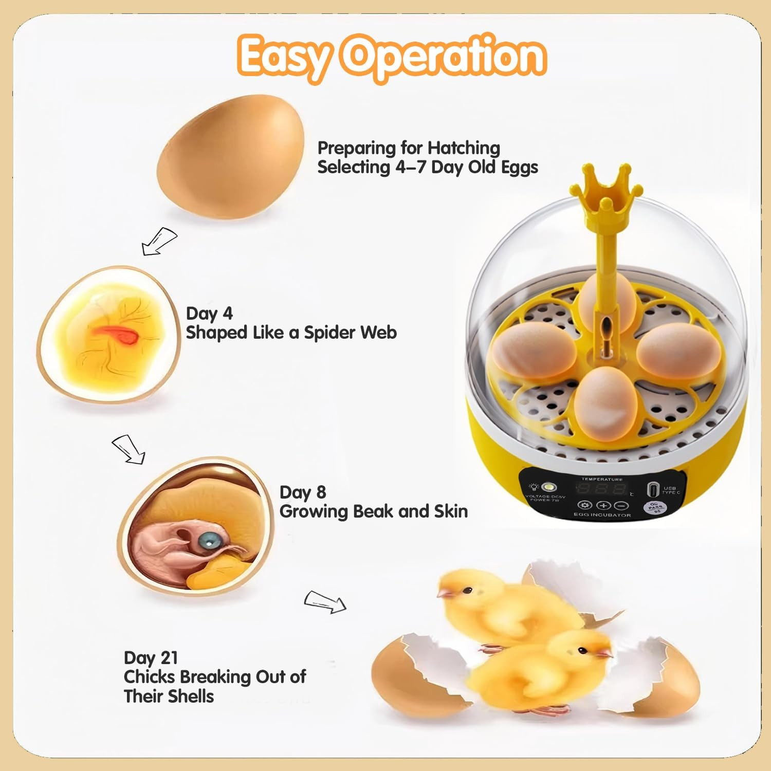 Tissting 4 Eggs Mini Incubator with Transparent Lid,7W Automatic Temperature Hum