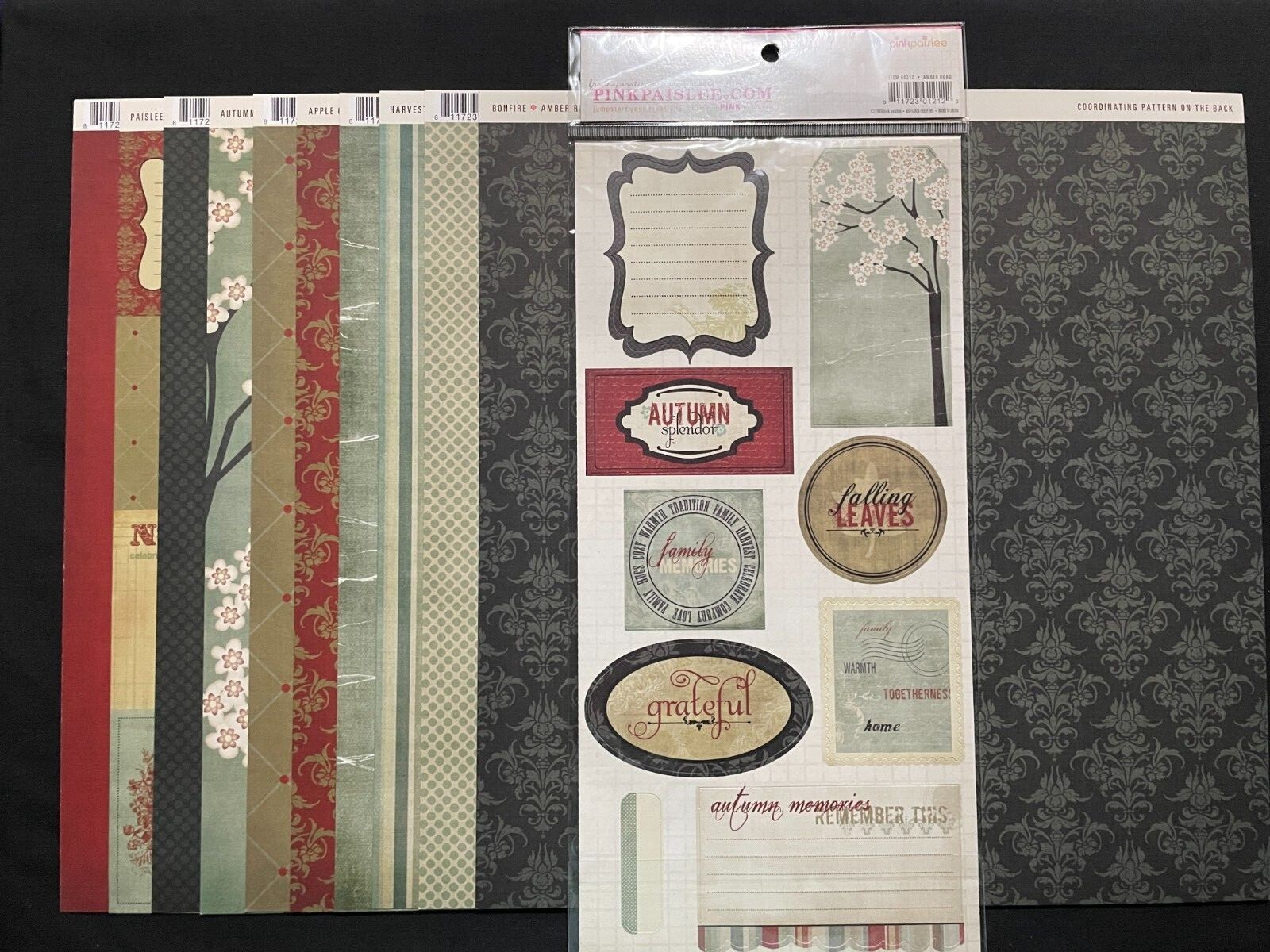 PINK PAISLEE "AMBER ROAD" COLLECTION 12X12 HEAVY PAPERS AND DIE CUT TAGS