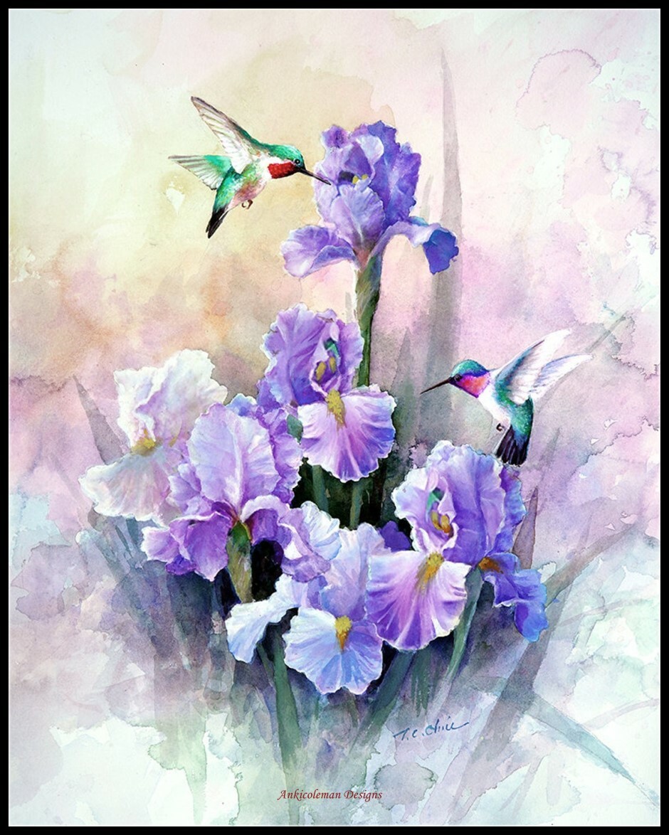 Hummingbirds and Purple Iris - Chart Counted Cross Stitch Patterns Needlework