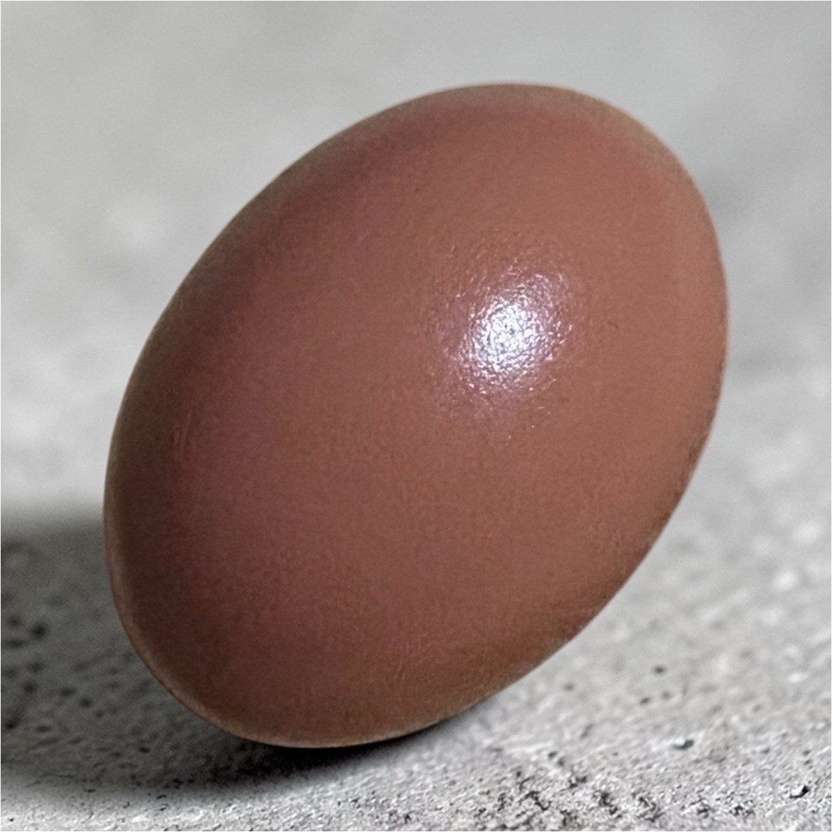 Brown Fake Faux laying nesting eggs $5 ea pack