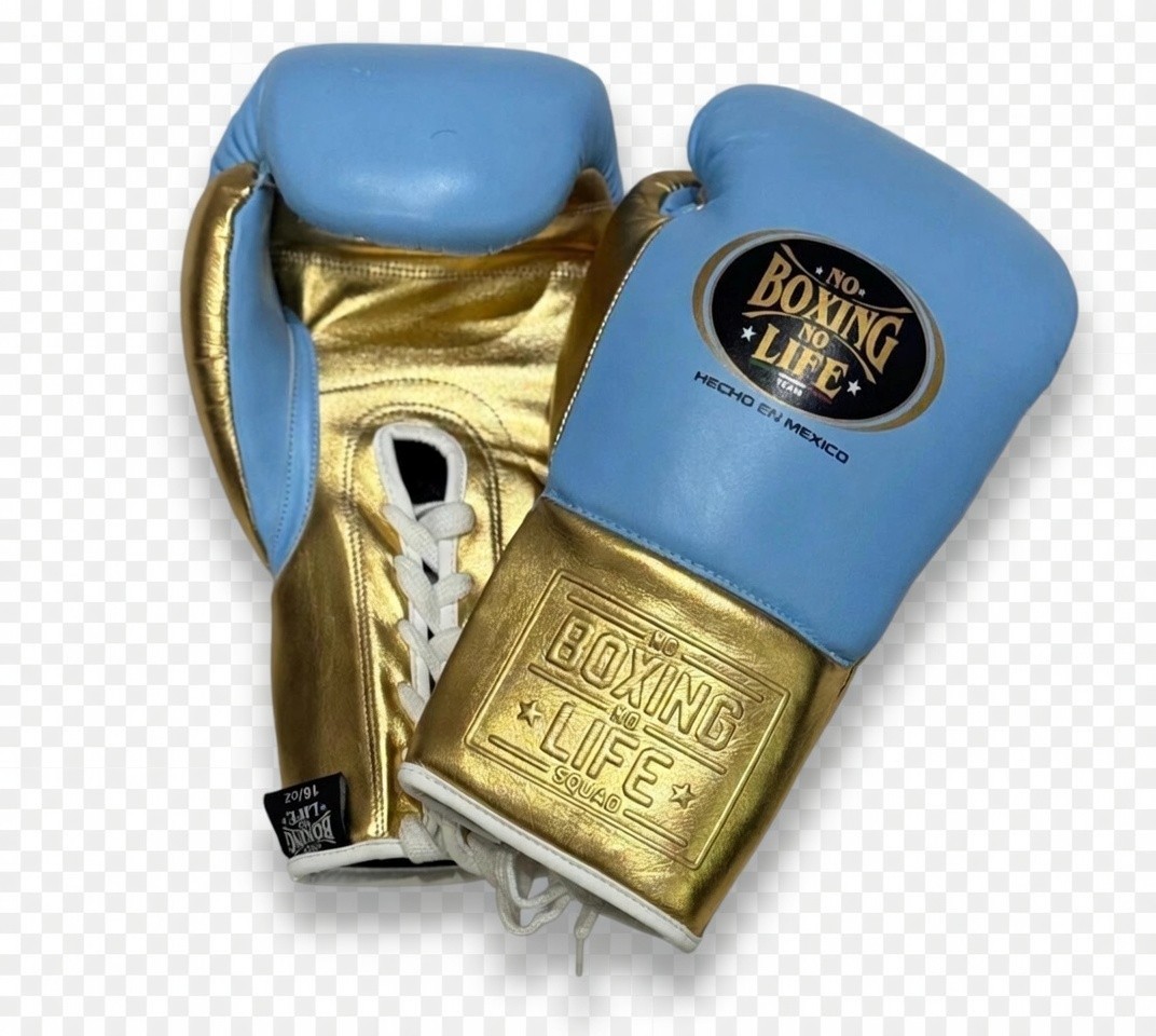 Custom No Boxing No Life Boxing Gloves, Winning boxing gloves, punching bag,