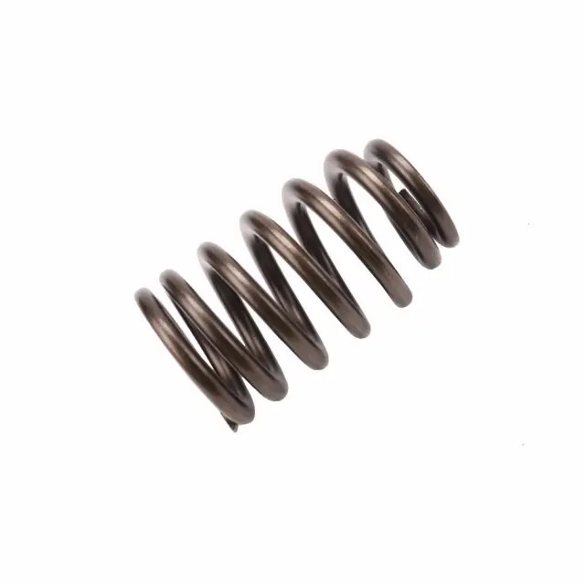 Genuine GM Valve Springs 12686721