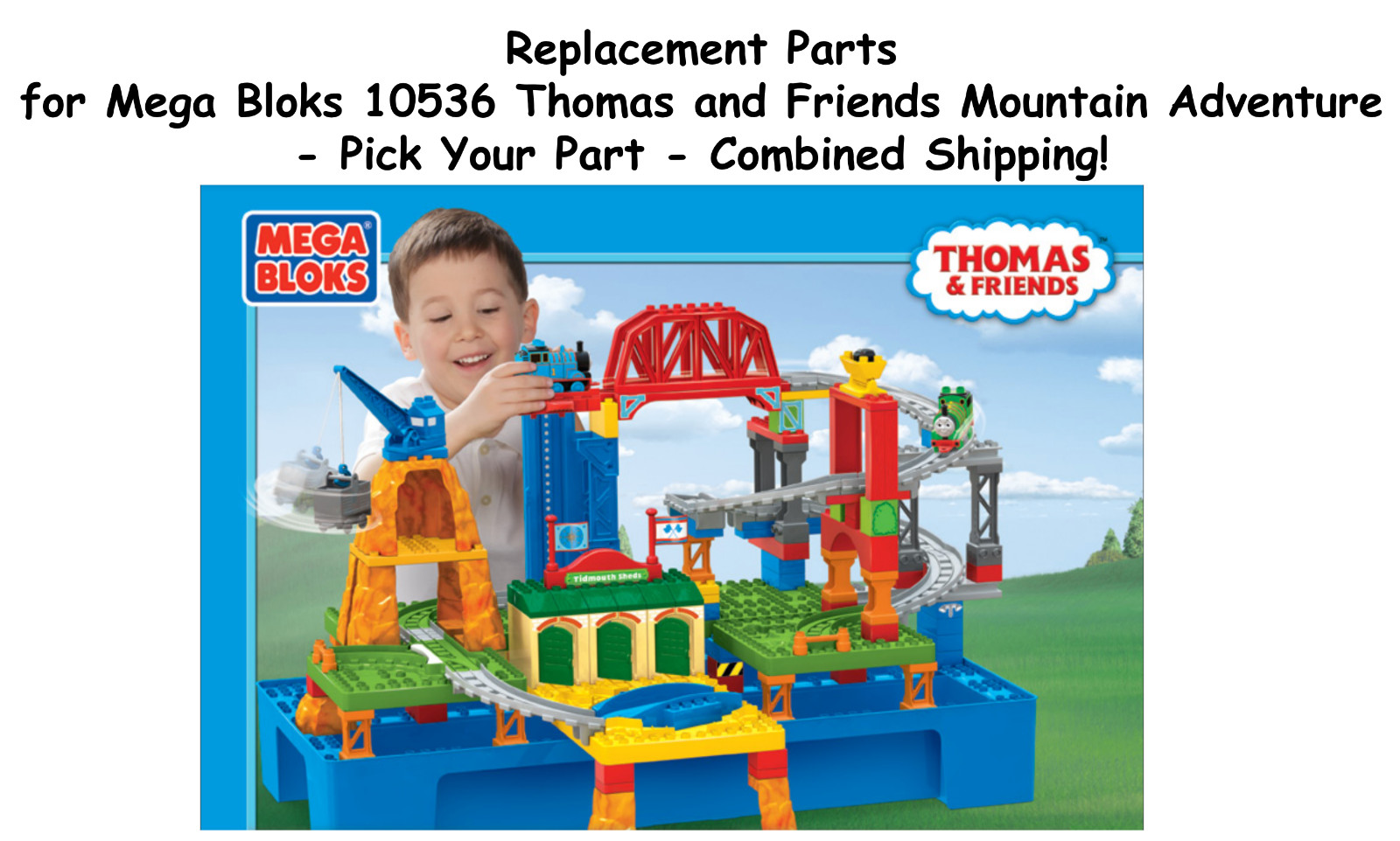 Mega Bloks 10536 Thomas & Friends Mountain Adventure REPLACEMENT Pieces U-Pick