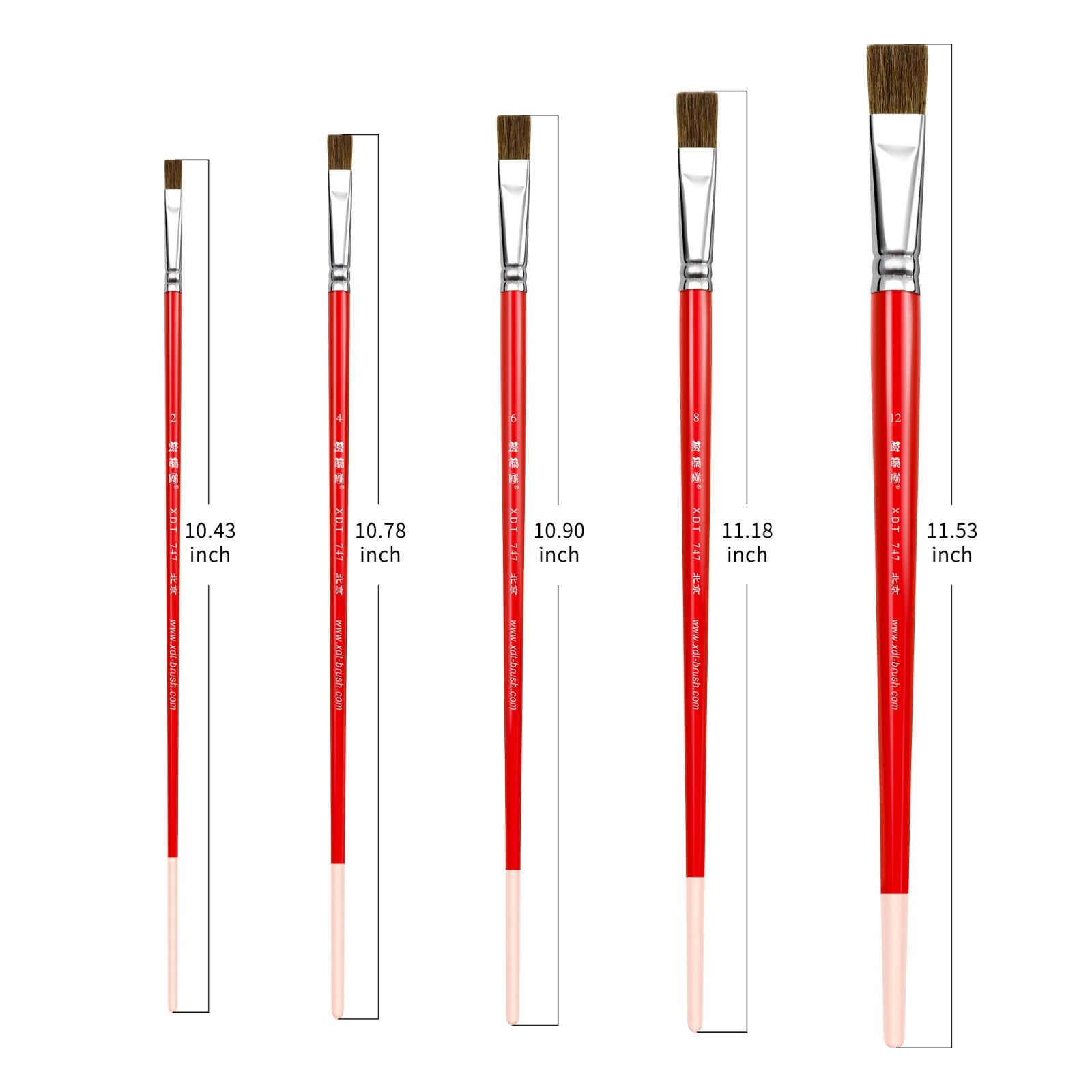 XDT#747 Flat Tip Art Brush Set 5Pc #2#4#6#8#12 Sable Acrylic Oil Watercolor