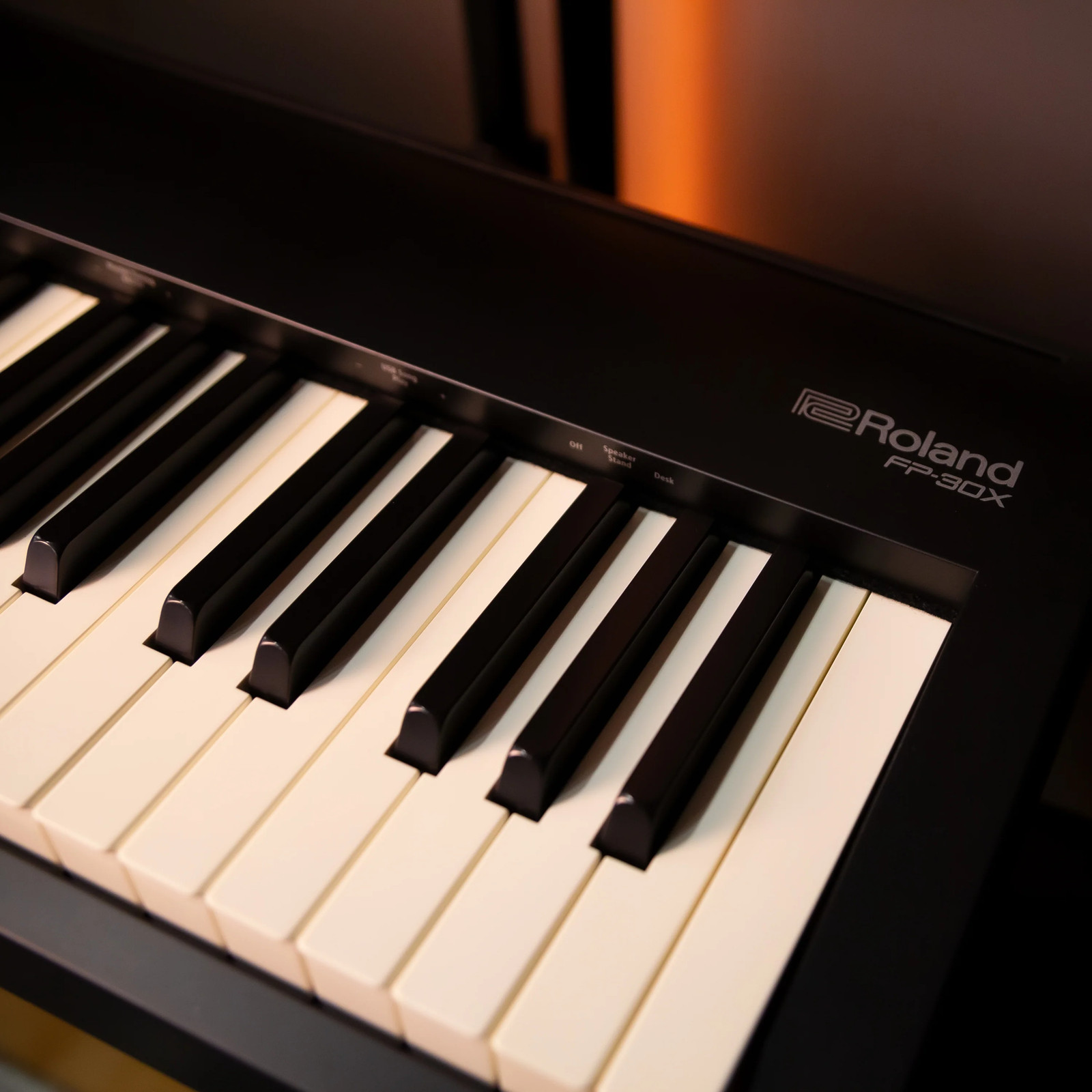 Roland FP-30X Digital Piano - Black STAGE ESSENTIALS BUNDLE
