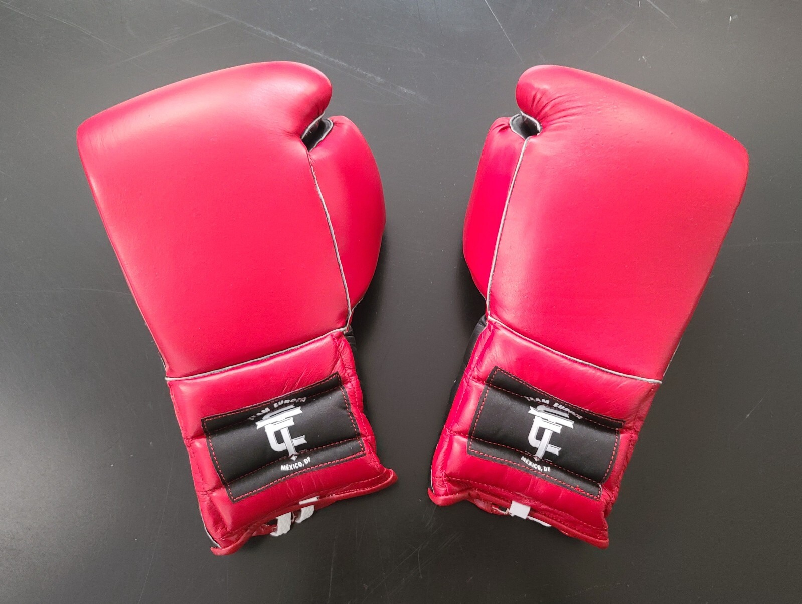 Team Euroza Boxing Gloves w/ Welted Seams - Professional Grade - Red w/ Black