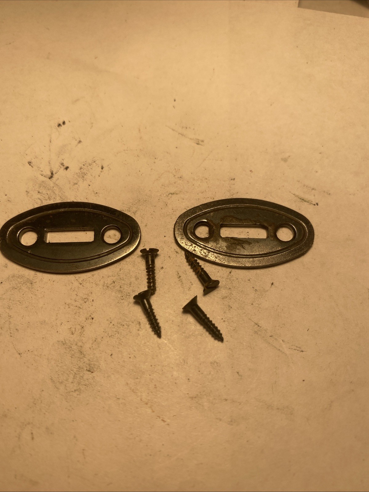 Thompson Center Renegade Muzzleloader Escutcheon Wedge Plates And Screws.