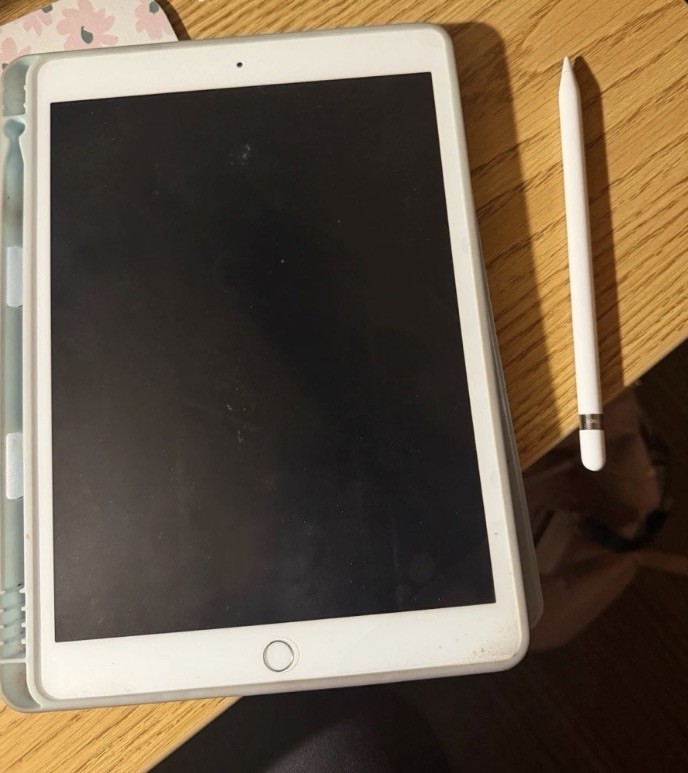 ipad and apple pencil!