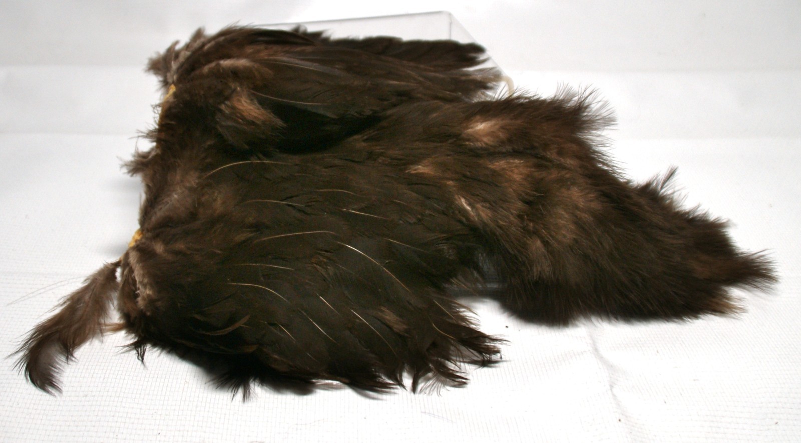 Cape Fly Tying Craft Hackle Feather Brown #539