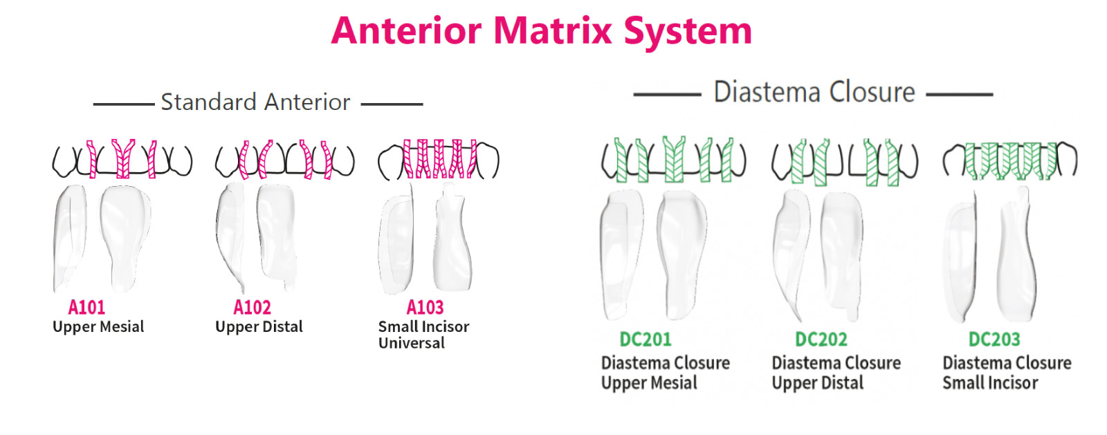 BioClear Anterior Matrix Refills Pack of 10 pcs (Free Shipping)