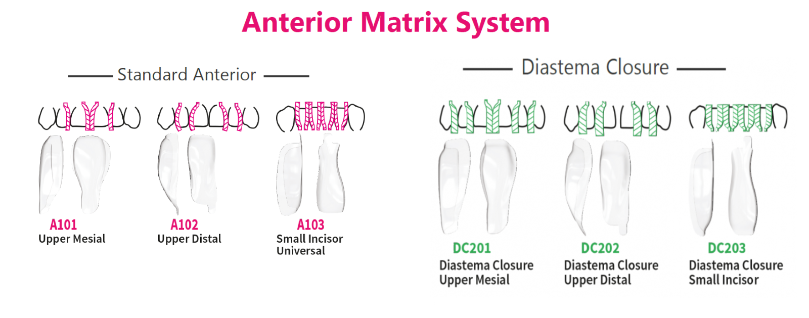 BioClear Anterior Matrix Refills Pack of 15 pcs (Free Shipping)