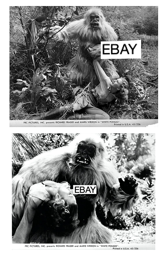 WHITE PONGO 1945 MOVIE PHOTOS LOT #1 (2) JUNGLE APE RAY CORRIGAN CULT MOVIE
