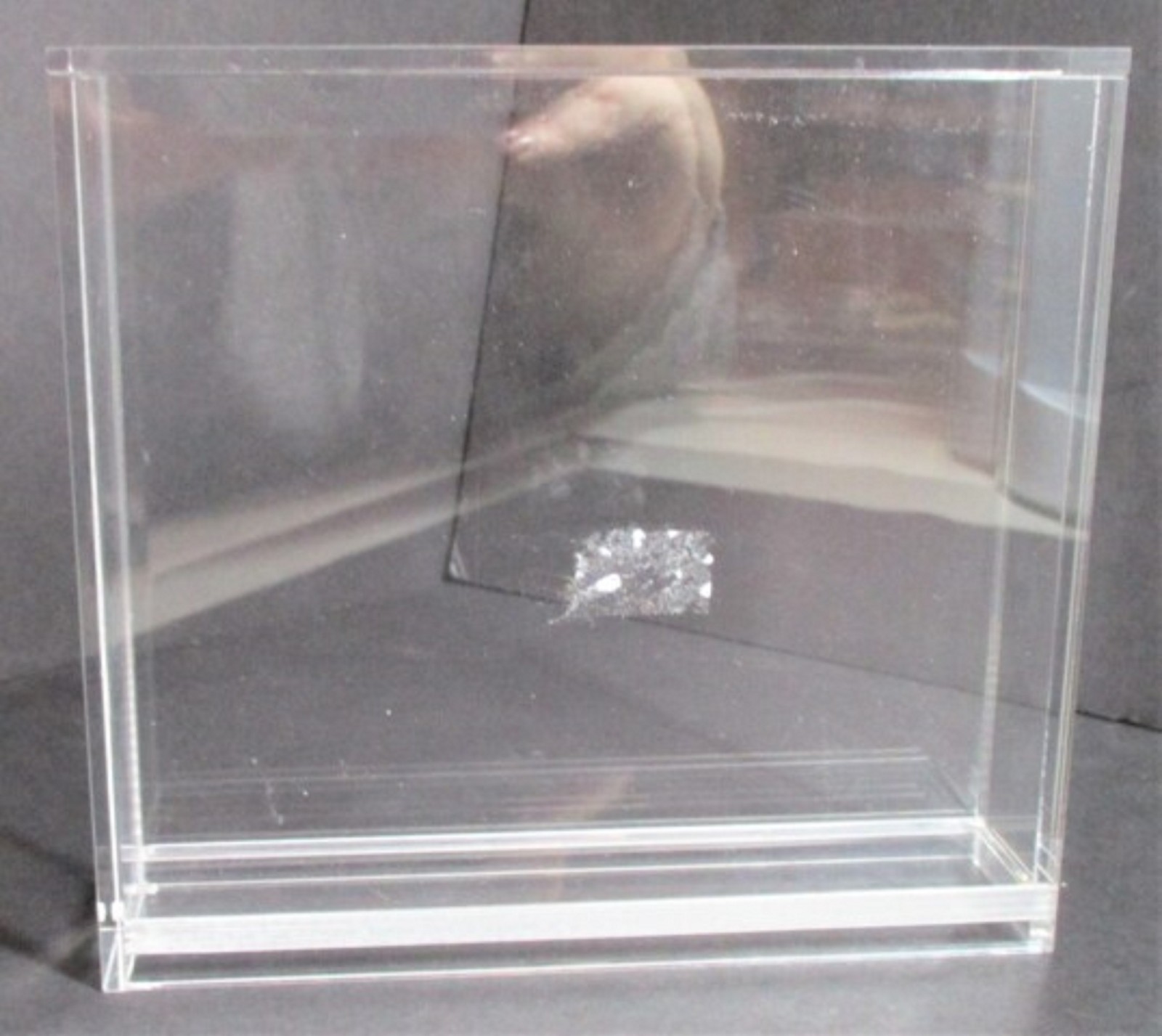 PS1 Acrylic Display (60035)