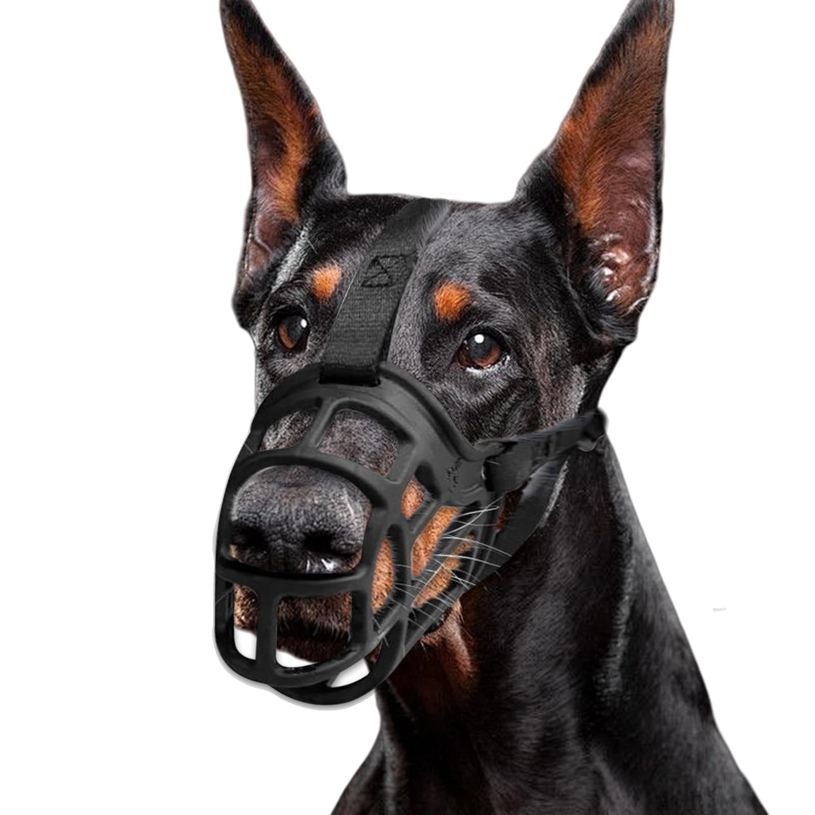 Royal Claws Dog Muzzle, Basket Muzzle for Small Medium Large SIZE 1, Black