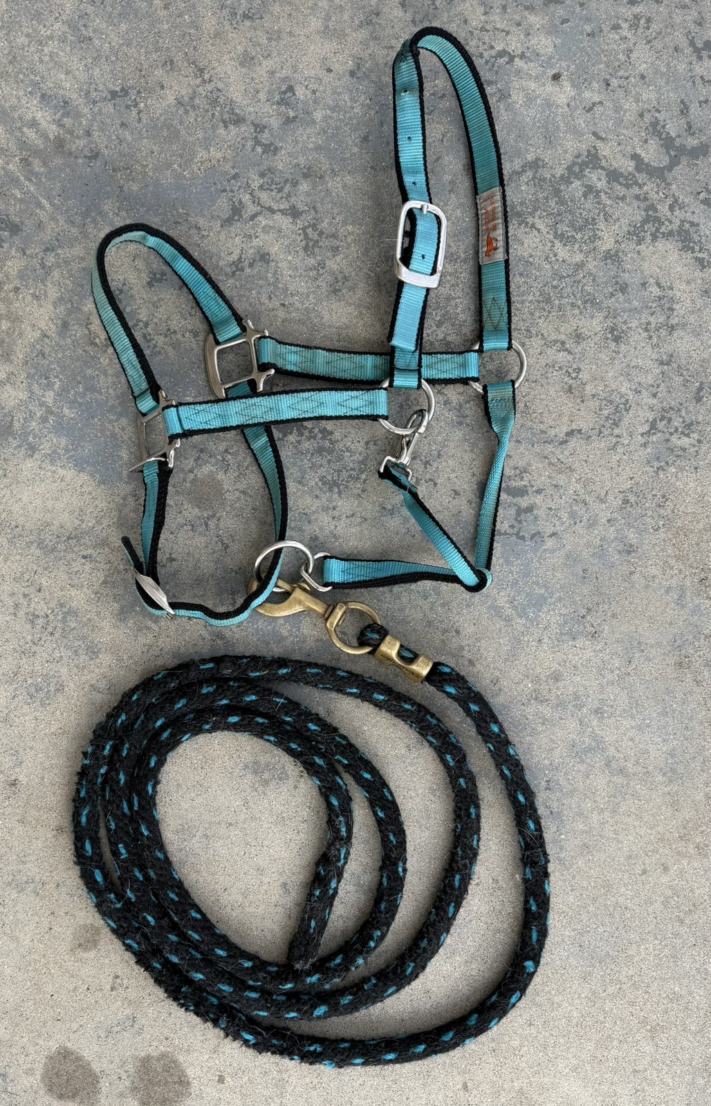 USED Nylon Horse Halter With Lead Rope; Aqua Blue, black; Sz Medium Horse