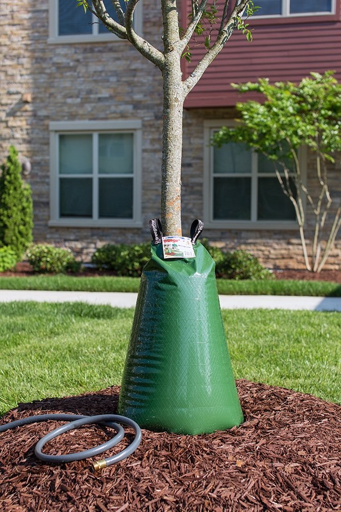 TreeGator Tree Watering Bag - Pack of 5