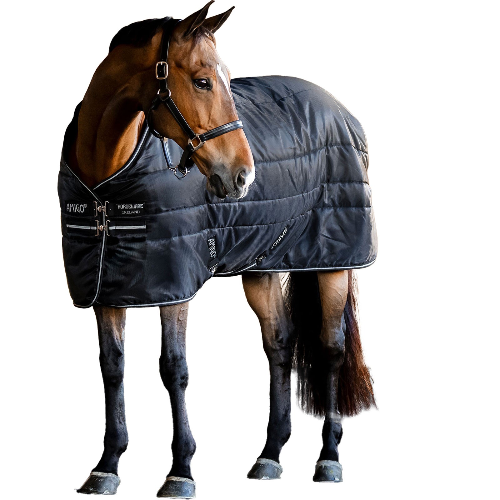 HORSEWARE IRELAND Amigo Ripstop Insulator Stable 50g Black/Black/Silver Blanket