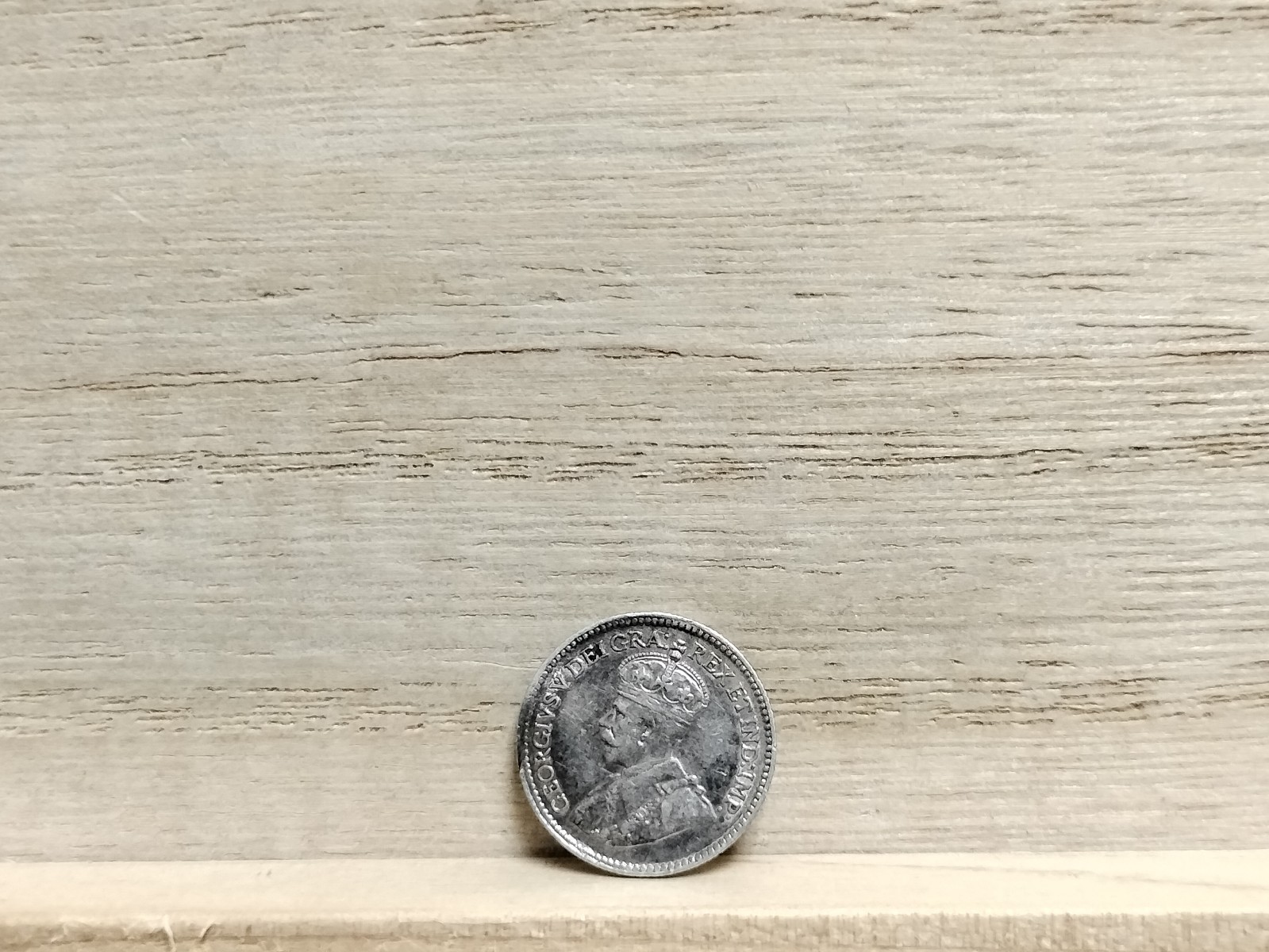 1919 5 Cents Canada Silver Coin (George V)