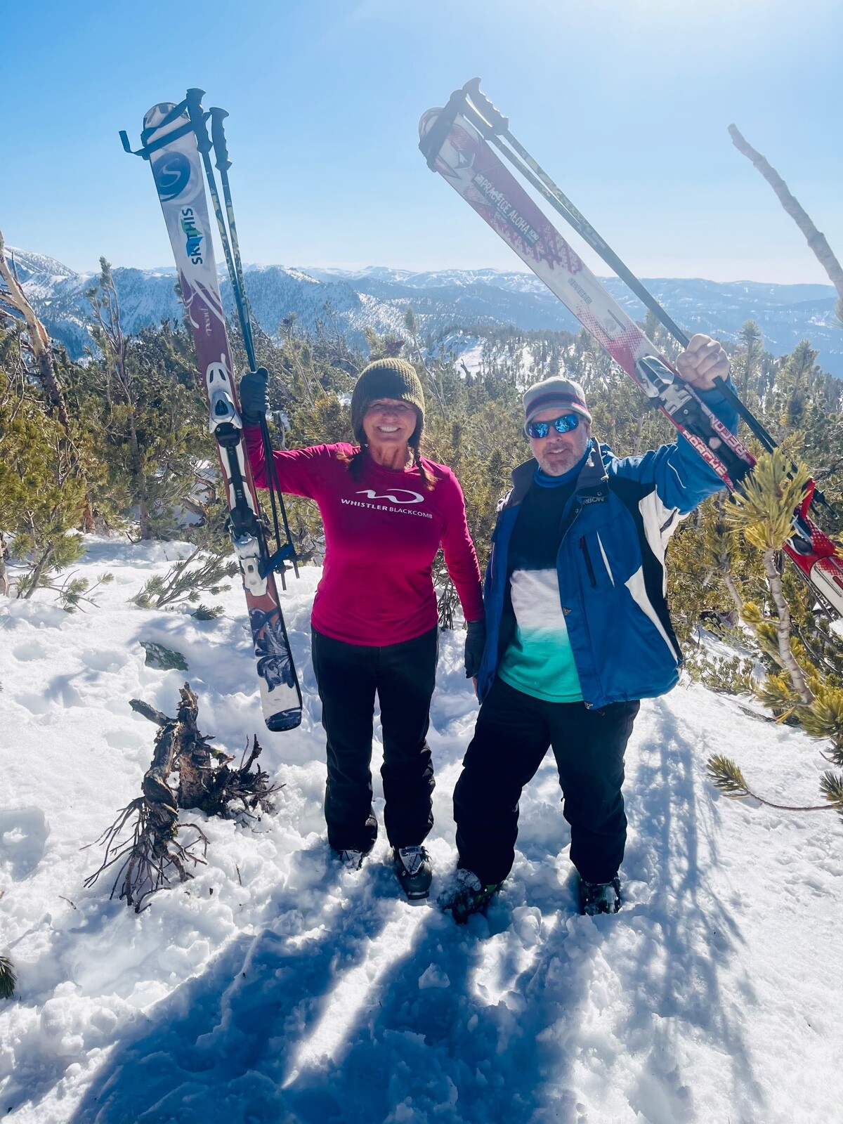 Ski and Pole Carrier