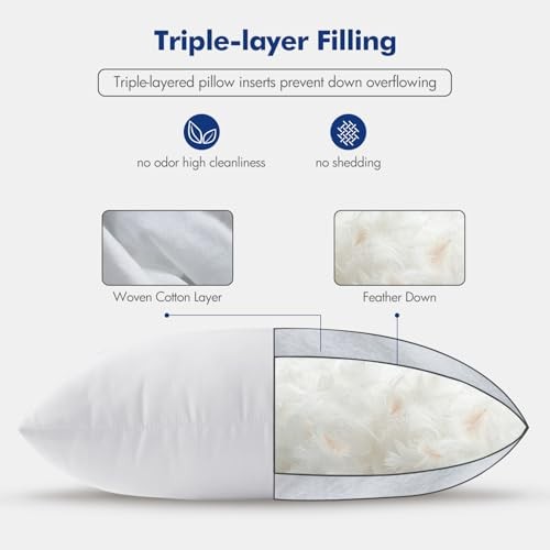 Feather Pillow Insert 28x28, Decorative Down Feather Decorative 28x28 Inch 1