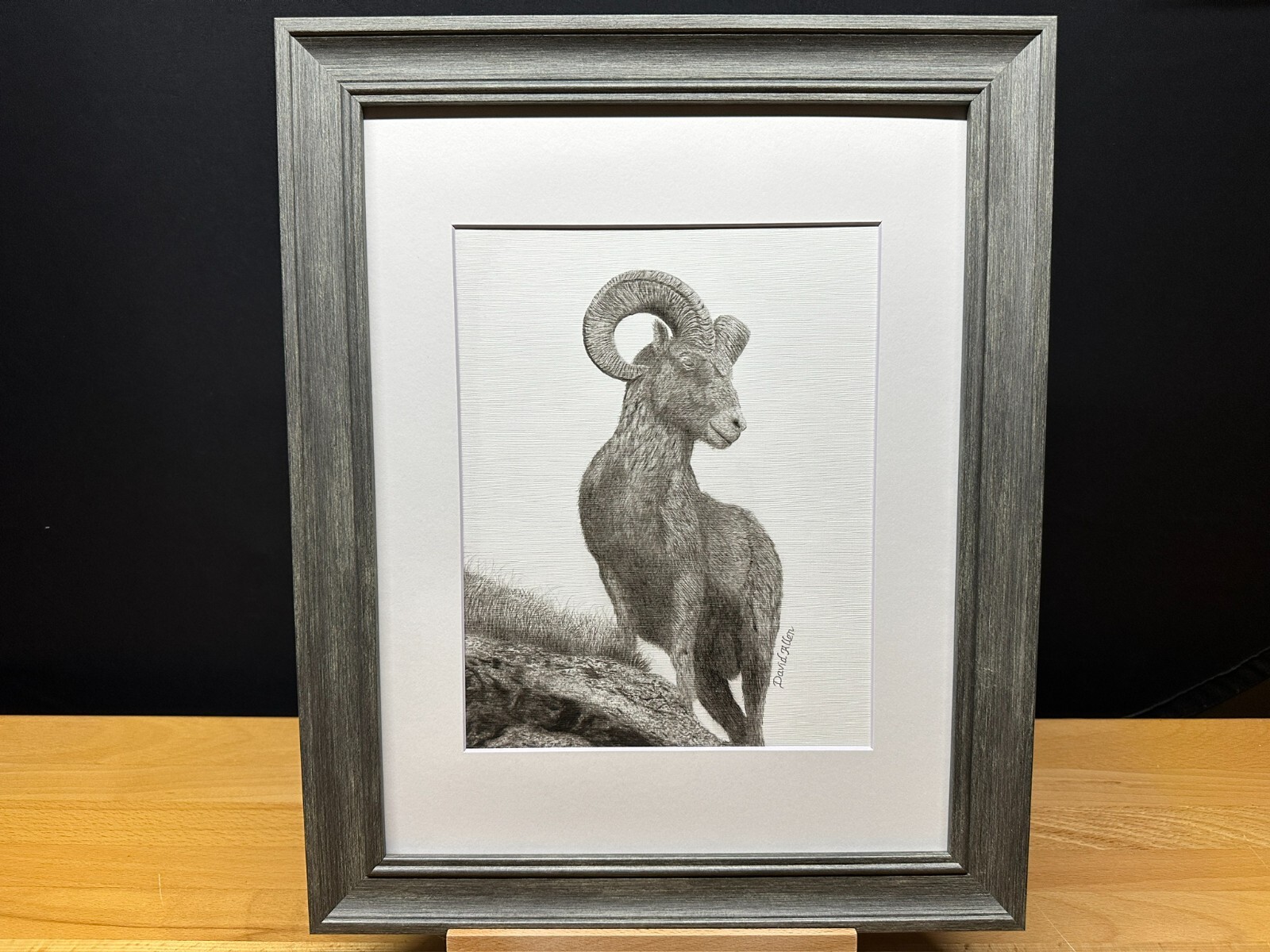 Drawing of a Bighorn Sheep Ram Wildlife Graphite Pencil Art Sketch Picture Print
