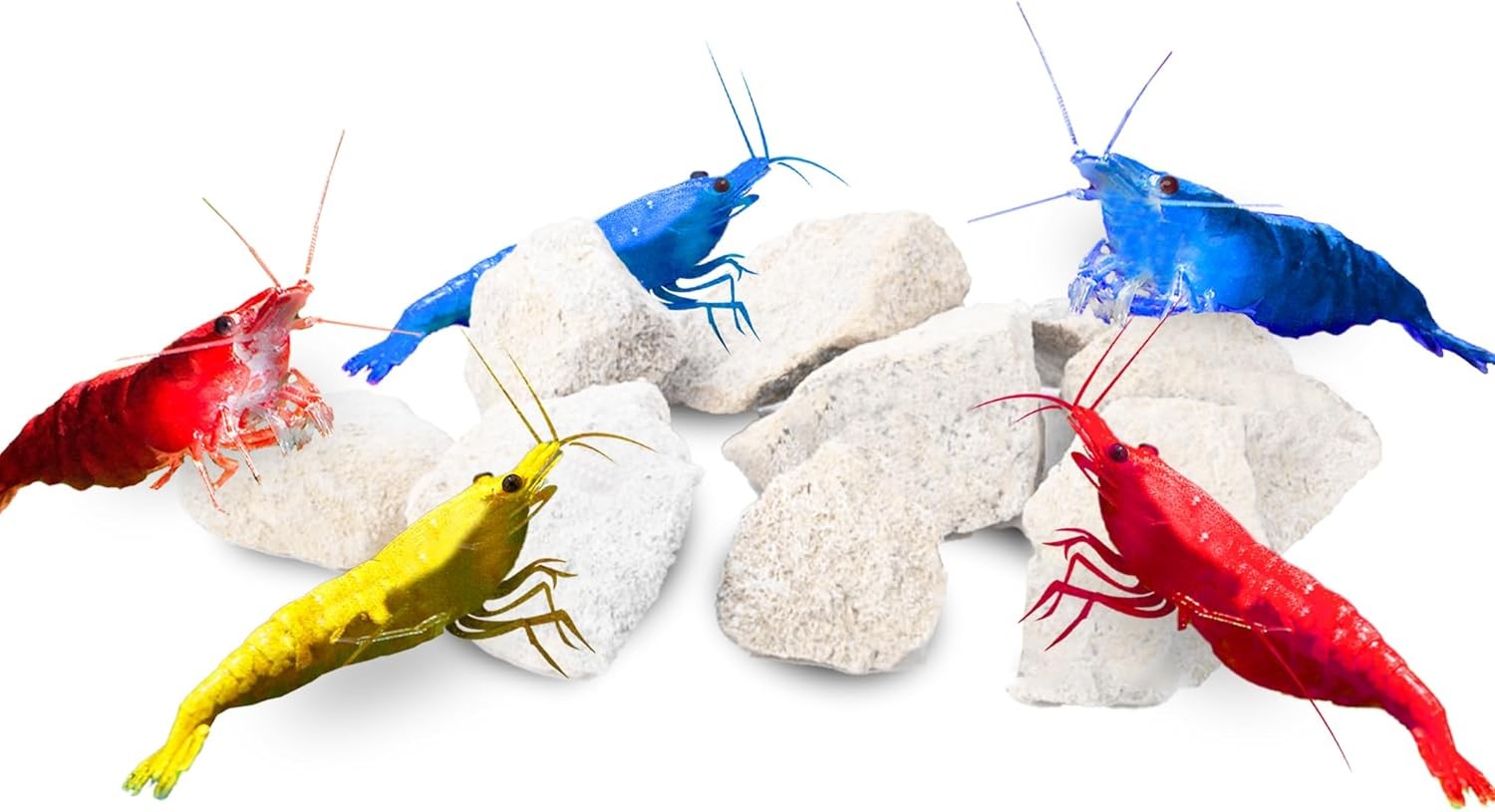 Water Conditioner Calcium Rocks for Baby Shrimps, Isopods, and Crayfish,...