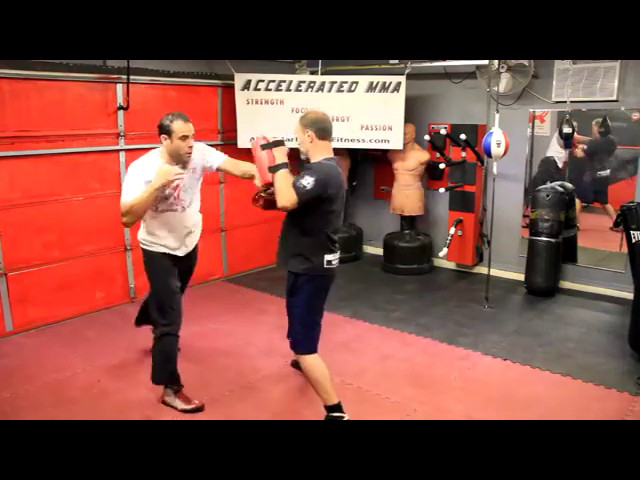 Martial Arts Training; Stop the Charging Attacker with Powerful Punches | BJJ