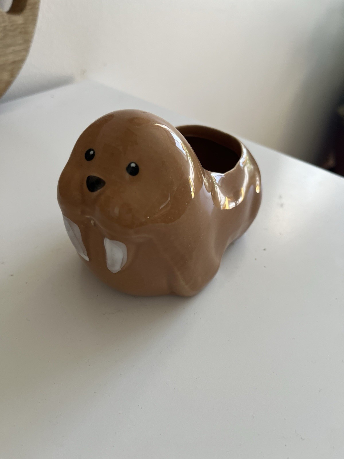Walrus Planter