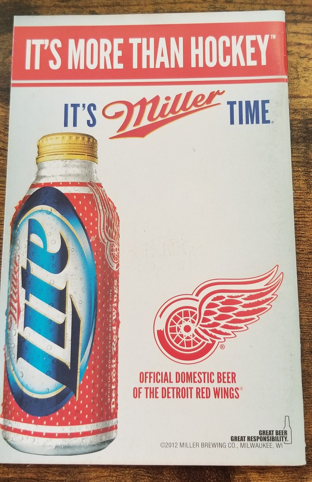 RED WINGS TODAY Stanley Cup Playoffs Program 2013 KRONWALL BLACKHAWKS NHL