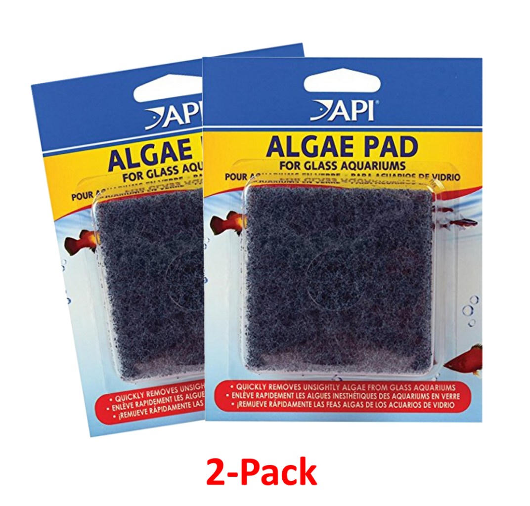 Hand Held Algae Scraper Pad for Glass/Hard Plastic Surfaces (3x3 in) 2 pack